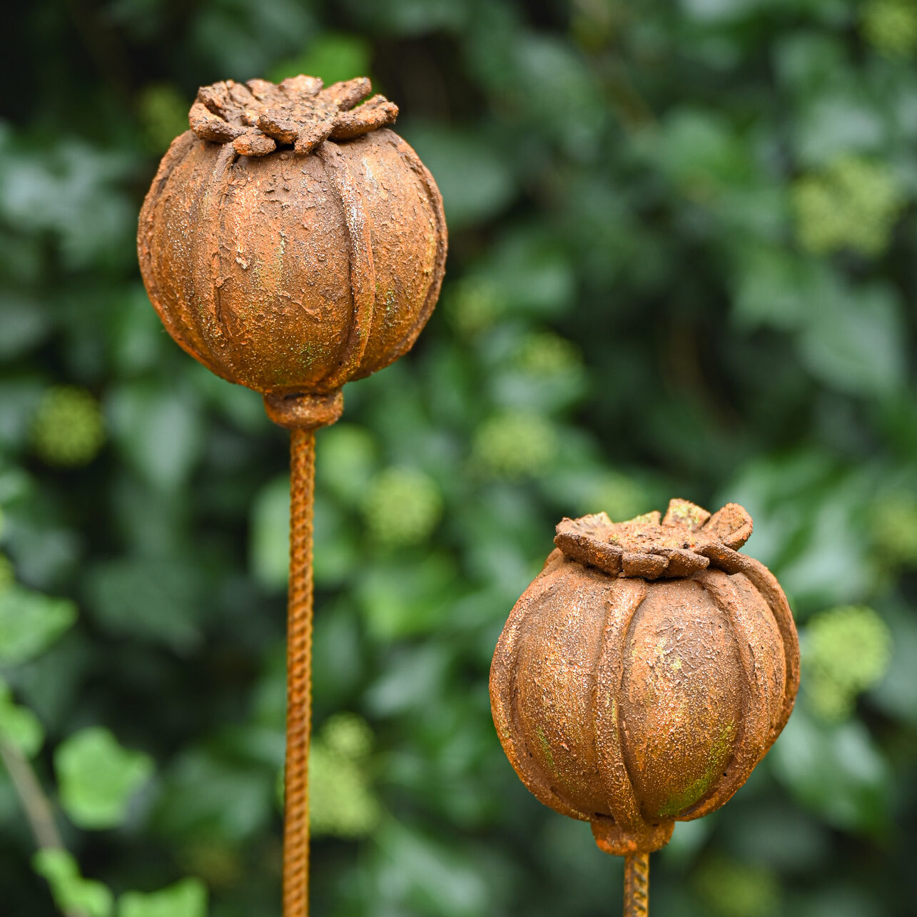 Papaverbollen - Workshop Tuinstekers, Lieks Atelier